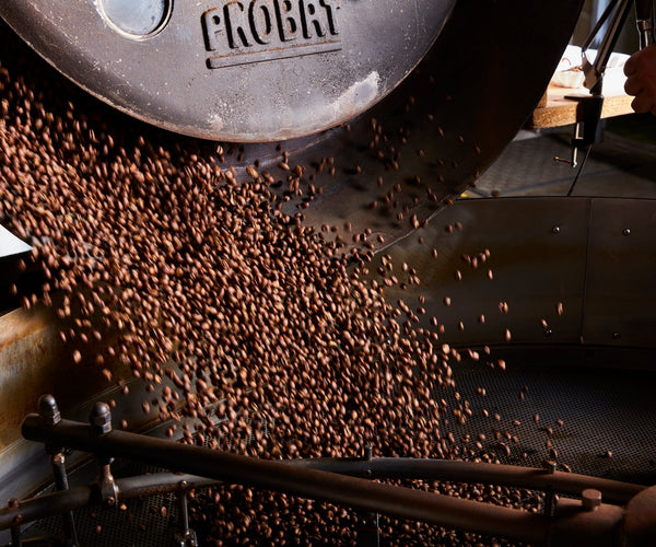 170227_DanesCoffee0453.jpg?crop=center&height=500&v=1791505244&width=600